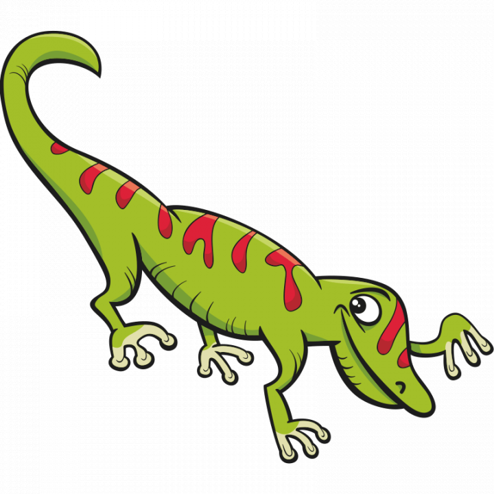 Kletterkurs Gecko