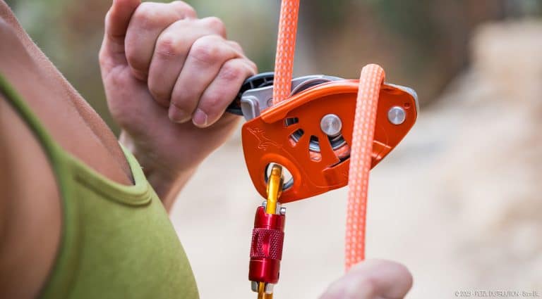 Petzl NEOX